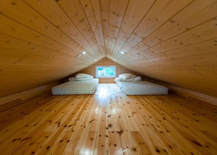 Mielno Nad Morzem Wakacyjna Ostoja * Mscice